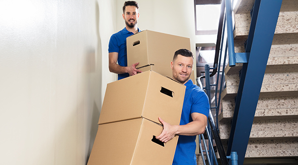Professional Movers McKee Moving & Storage